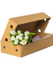 Flower Shipping Boxes