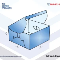 Self Lock Cake Box