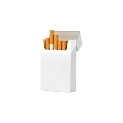 Blank Cigarette Boxes