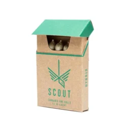 Cannabis Pre Roll Packaging Boxes