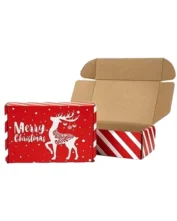 Christmas Mailer Boxes
