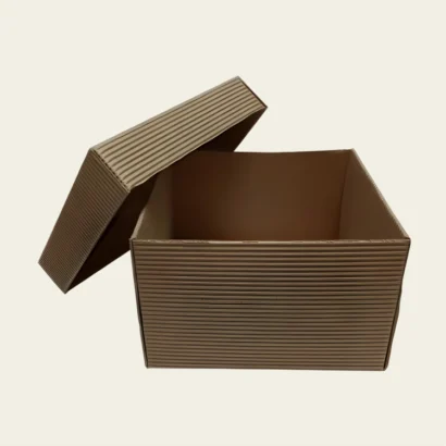 Corrugated Box with Lids