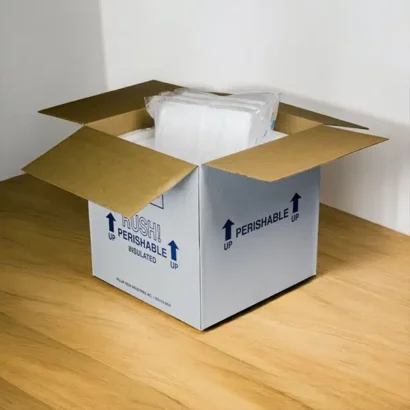 Dry Ice Shipping Boxes
