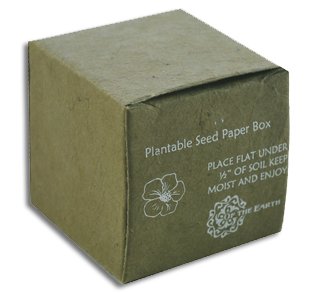 Seed Paper Boxes