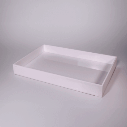 Custom Plastic Trays